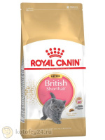 Royal Canin British Shorthair Kitten